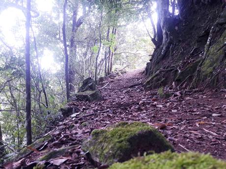 Trilha Cachoeira dos Nazários